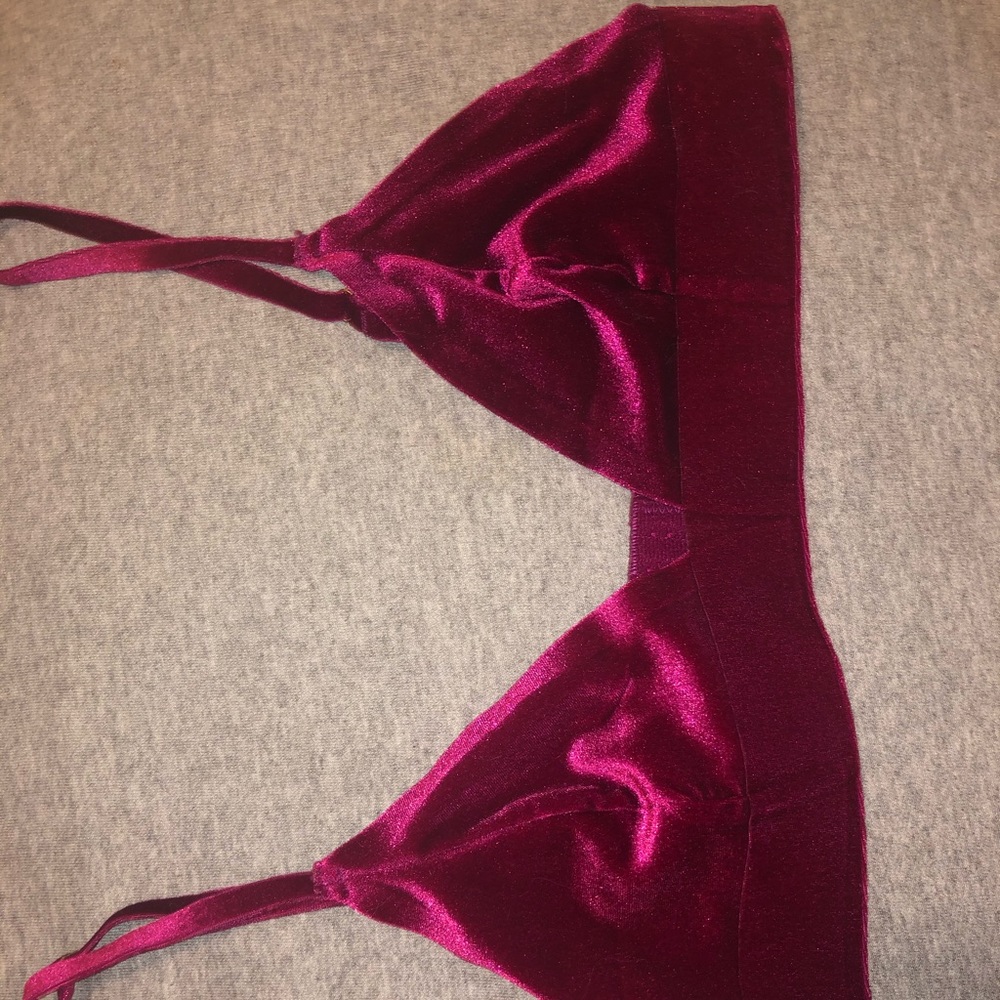 Urban outfitters rose velvet bralette top